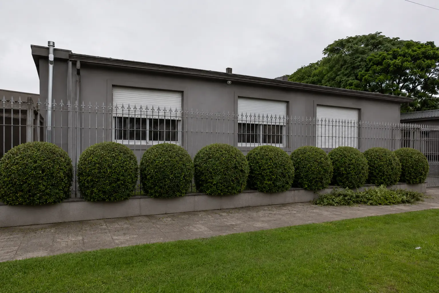 Depois da poda de arbustos